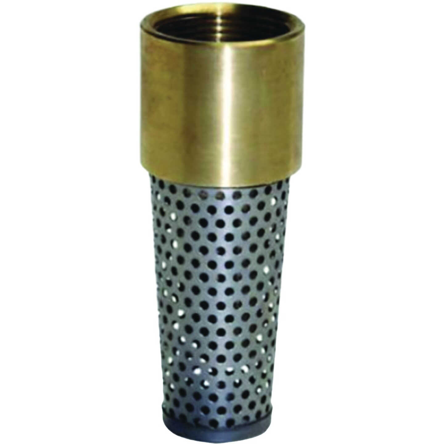 Water Source 1-1/2 In. Brass Foot Valve Image 1