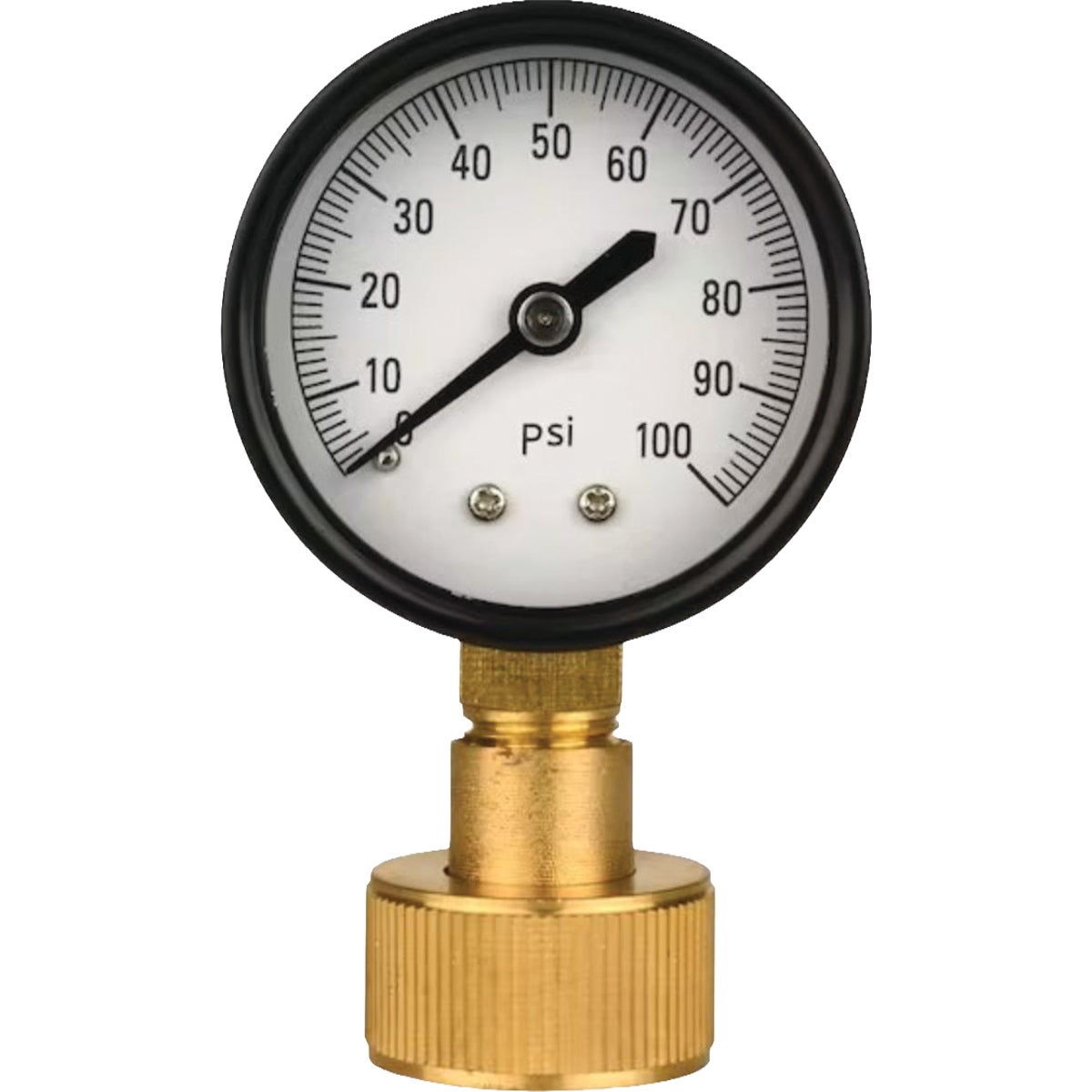 EcoFlo Water Source 100 PSI Water Pressure Test Gauge