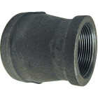 Southland 1/4 In. x 1/8 In. FIP Black Iron Reducing Coupling Image 1