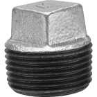 Anvil 1/4 In. Malleable Iron Galvanized Plug Image 1