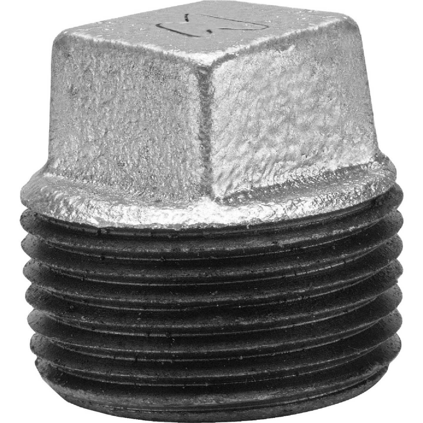 Anvil 3/8 In. Malleable Iron Galvanized Plug Image 1