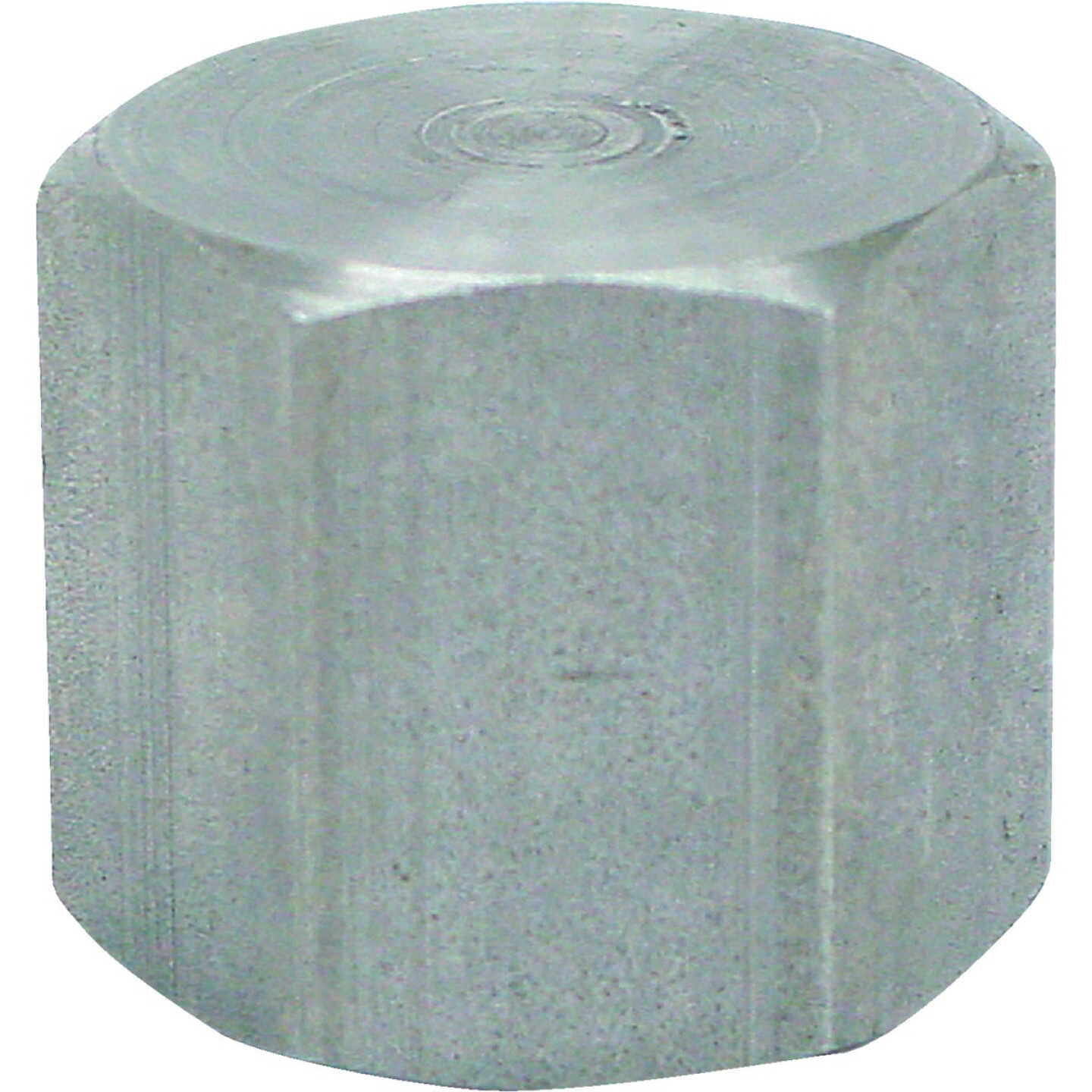 Anvil 3/8 In. Malleable Iron Galvanized Cap Image 1