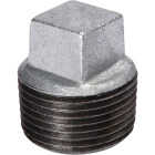 Southland 2 In. Malleable Iron Galvanized Plug Image 1