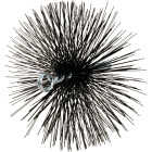 Meeco's Red Devil 6 In. Round Wire Chimney Brush Image 1