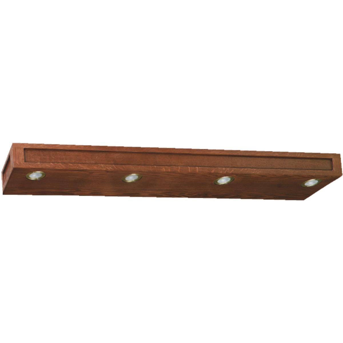 48" 4-LT M/DK LIGHTBAR