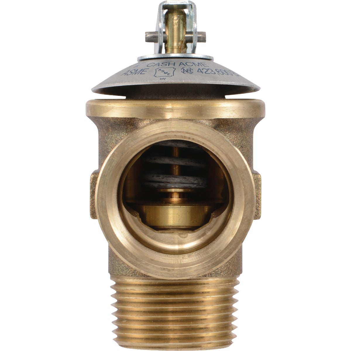 Cash Acme 3/4 In. F-30 Brass Pressure Relief Valve Image 2