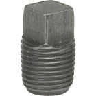 Anvil 1/2 In. Malleable Black Iron Square Head Pipe Plug Image 1