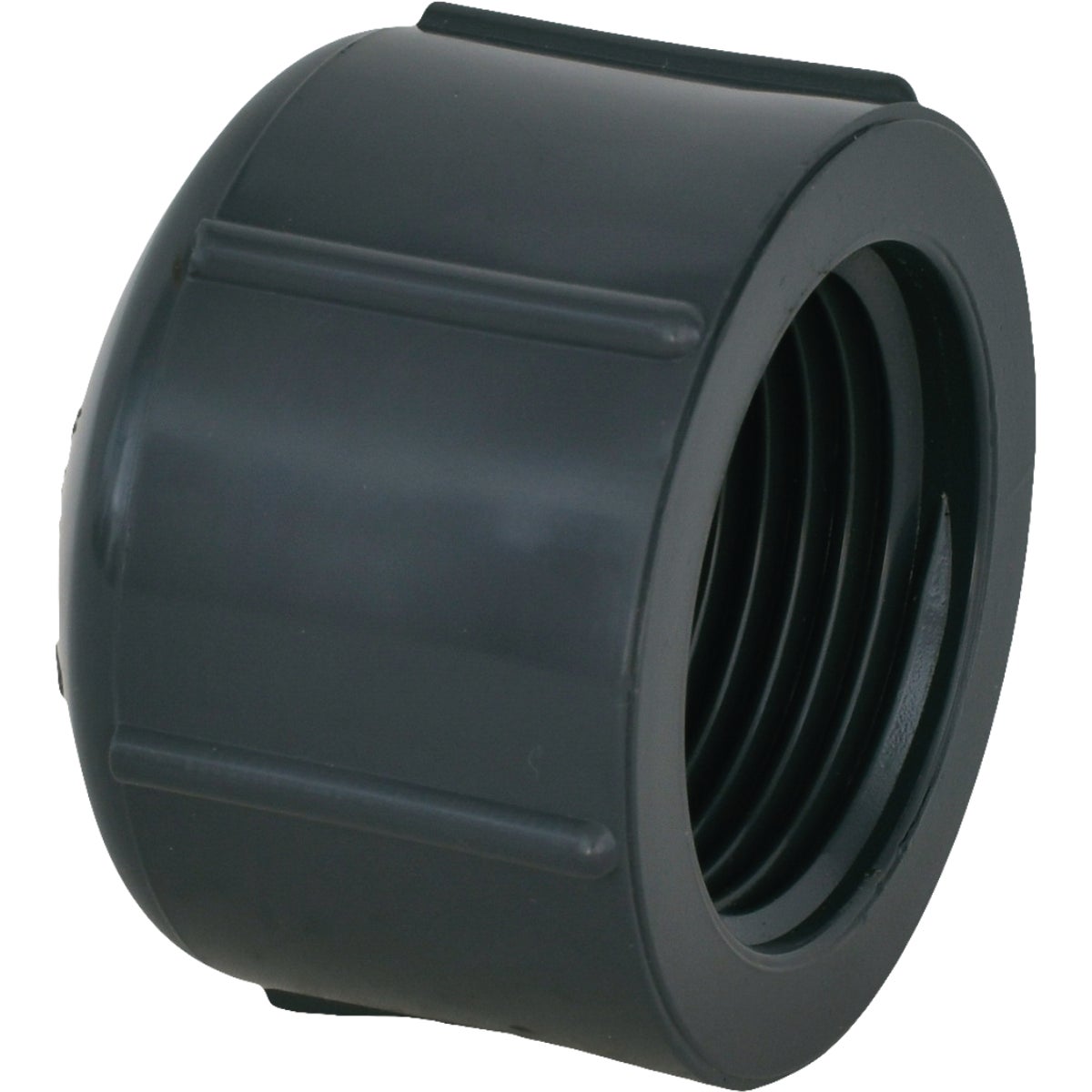Charlotte Pipe 1 In. Threaded Gray Schedule 80 Cap
