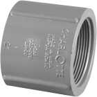 Charlotte Pipe 1-1/4 In. FIP x FIP PVC Coupling Image 1