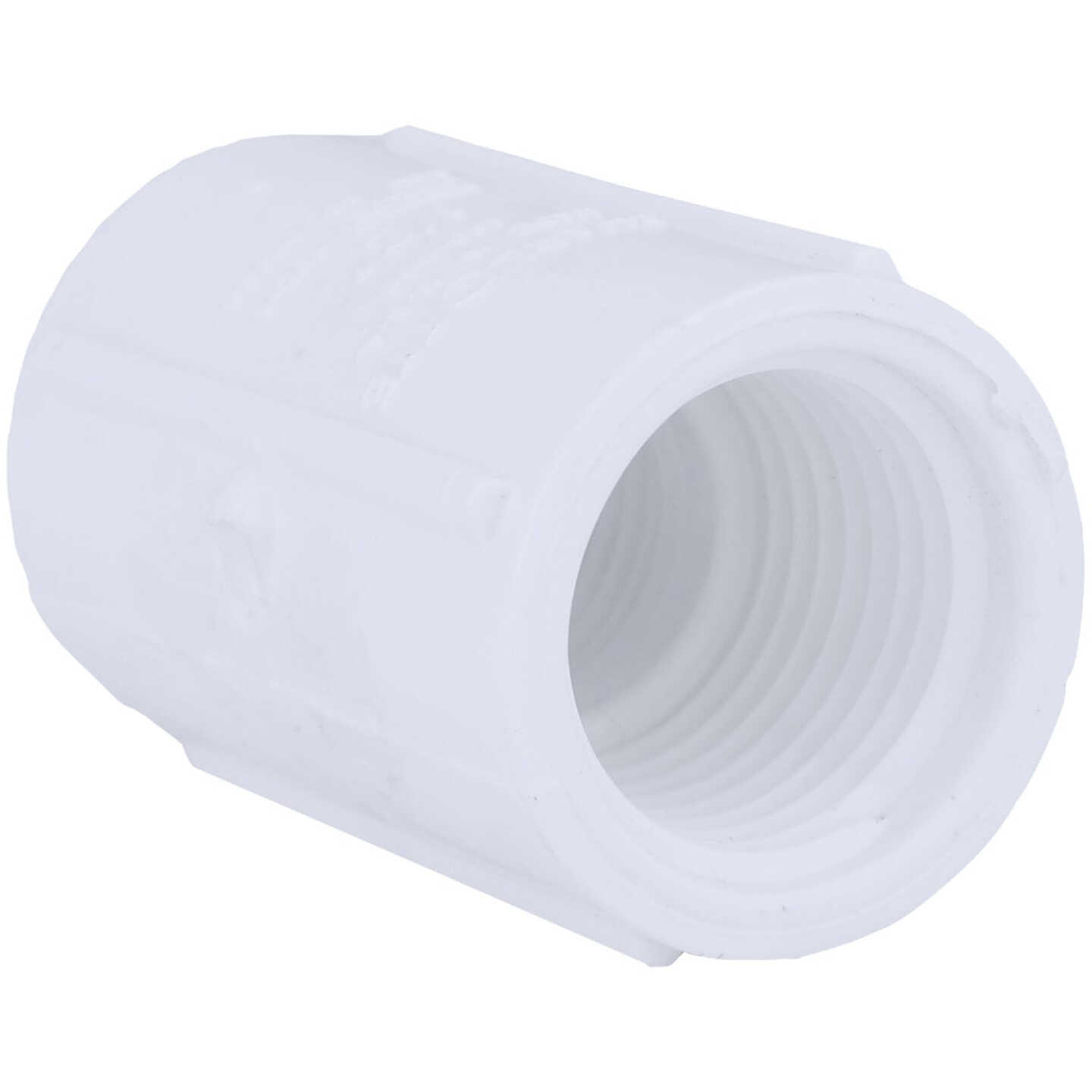 Charlotte Pipe 1/2 In. FIP Sch. 40 Threaded PVC Coupling Image 1