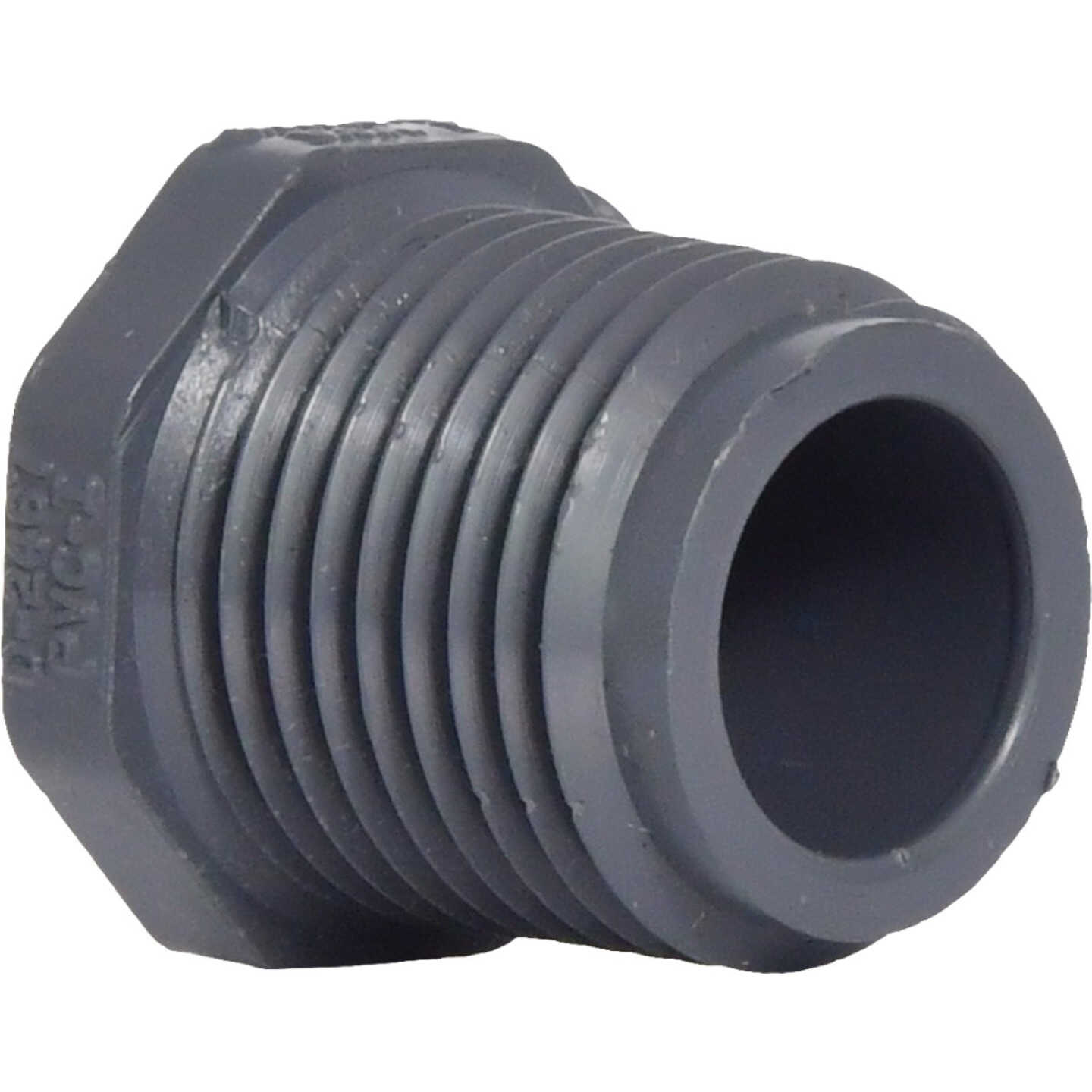 Charlotte Pipe 1/2 In. Gray Schedule 80 Male Pipe Thread Plug Image 1