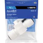 Watts 3/4 In. CTS X 3/4 In. QC Plastic Push Valve Image 1
