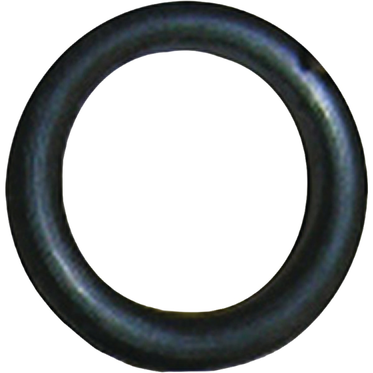 Lasco #31 5/8X13/16X3/32 R-51 O-Ring (2-Pack)
