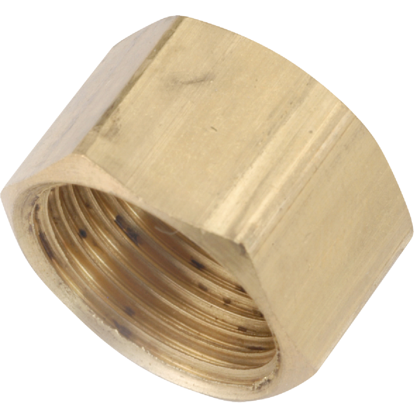 Anderson Metals 1/4 In. Brass Compression Cap Image 1