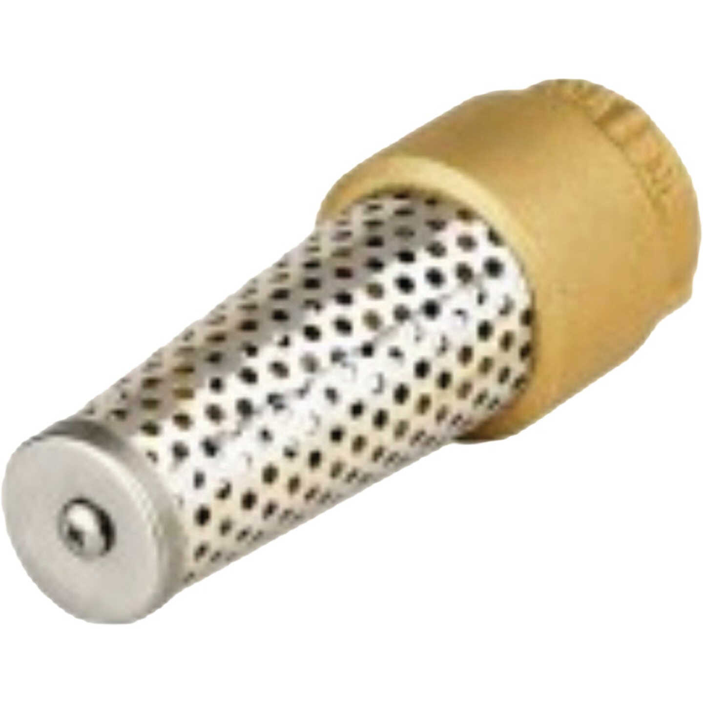 Water Source 1 In. Brass Foot Valve Image 1