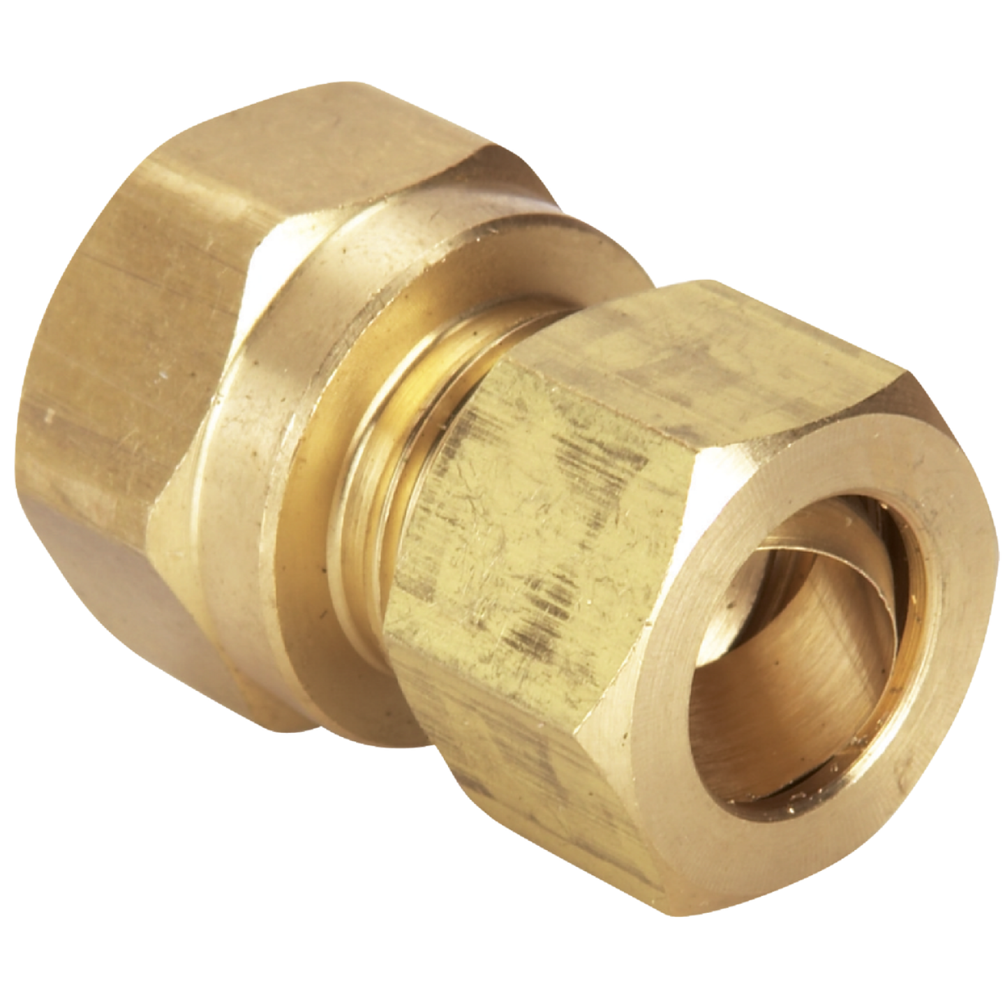 Do it 1/2 In. x 1/2 In. Brass Union Compression Adapter Image 1