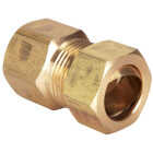 Do it 5/8 In. x 1/2 In. Brass Union Compression Adapter Image 1