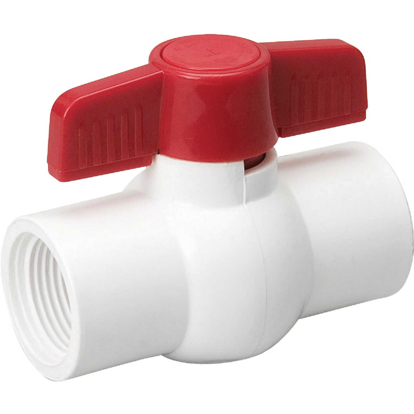 ProLine 2 In. FIP x 2 In. FIP PVC Ball Valve Image 1