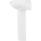 Common Goods Grove 20 In. White Pedestal Sink & Base Image 5