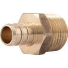 SharkBite 1/2 In. CF x 1/2 In. MPT Brass PEX Adapter Image 1