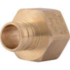 SharkBite 3/4 In. Barb x 3/4 In. FIP Brass PEX Adapter Image 1