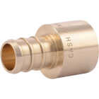 SharkBite 1/2 In. Female Sweat x 1/2 In. CF Brass PEX Adapter Image 1