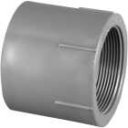 Charlotte Pipe 2 In. Schedule 80 Female PVC Adapter Image 1