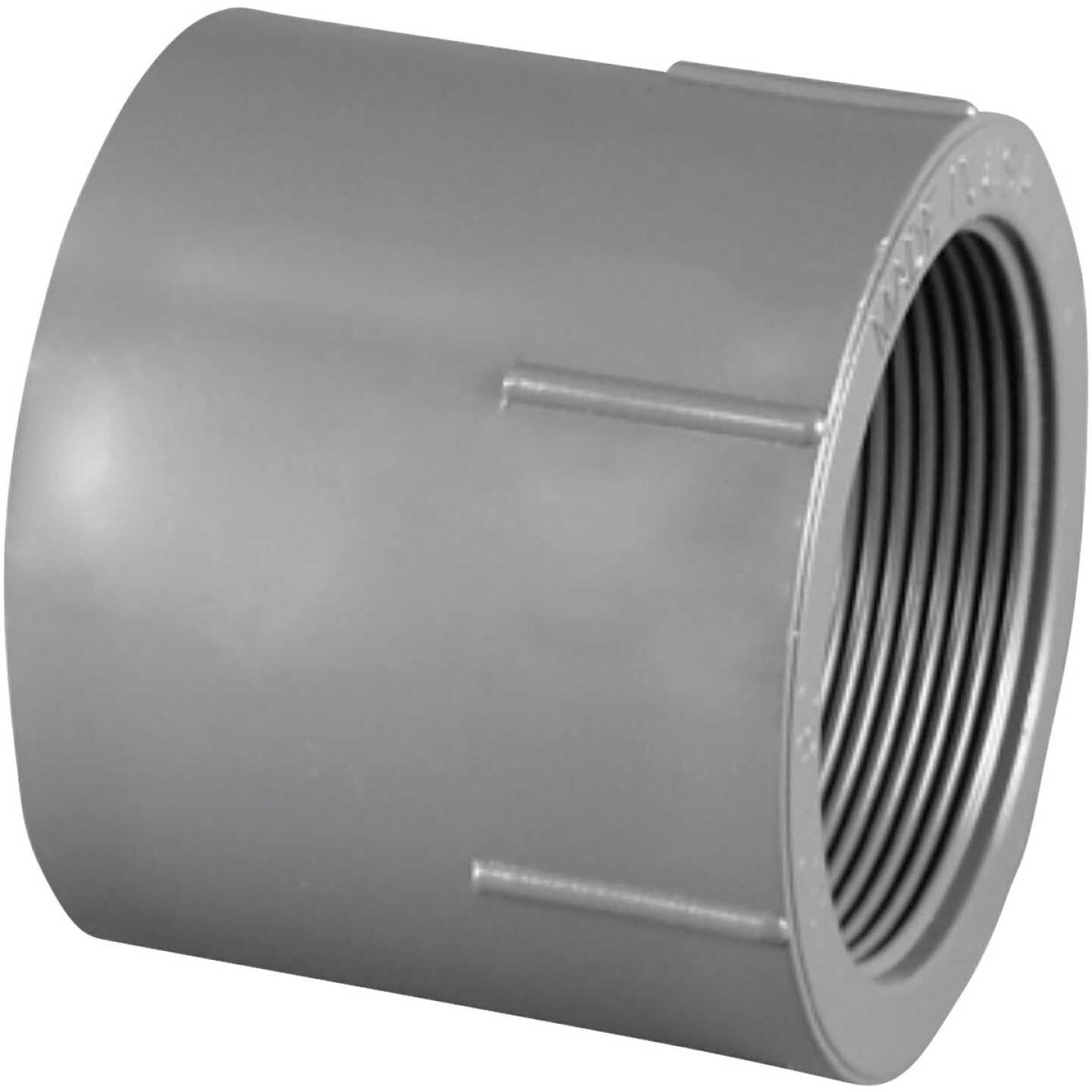 Charlotte Pipe 2 In. Schedule 80 Female PVC Adapter Image 1