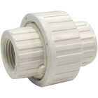 B&K 1/2 In. FIP Schedule 80 Threaded PVC Union Image 1