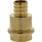 Nibco 3/4 In. Press x F1807 LF BR PEX Transition Fitting Image 1