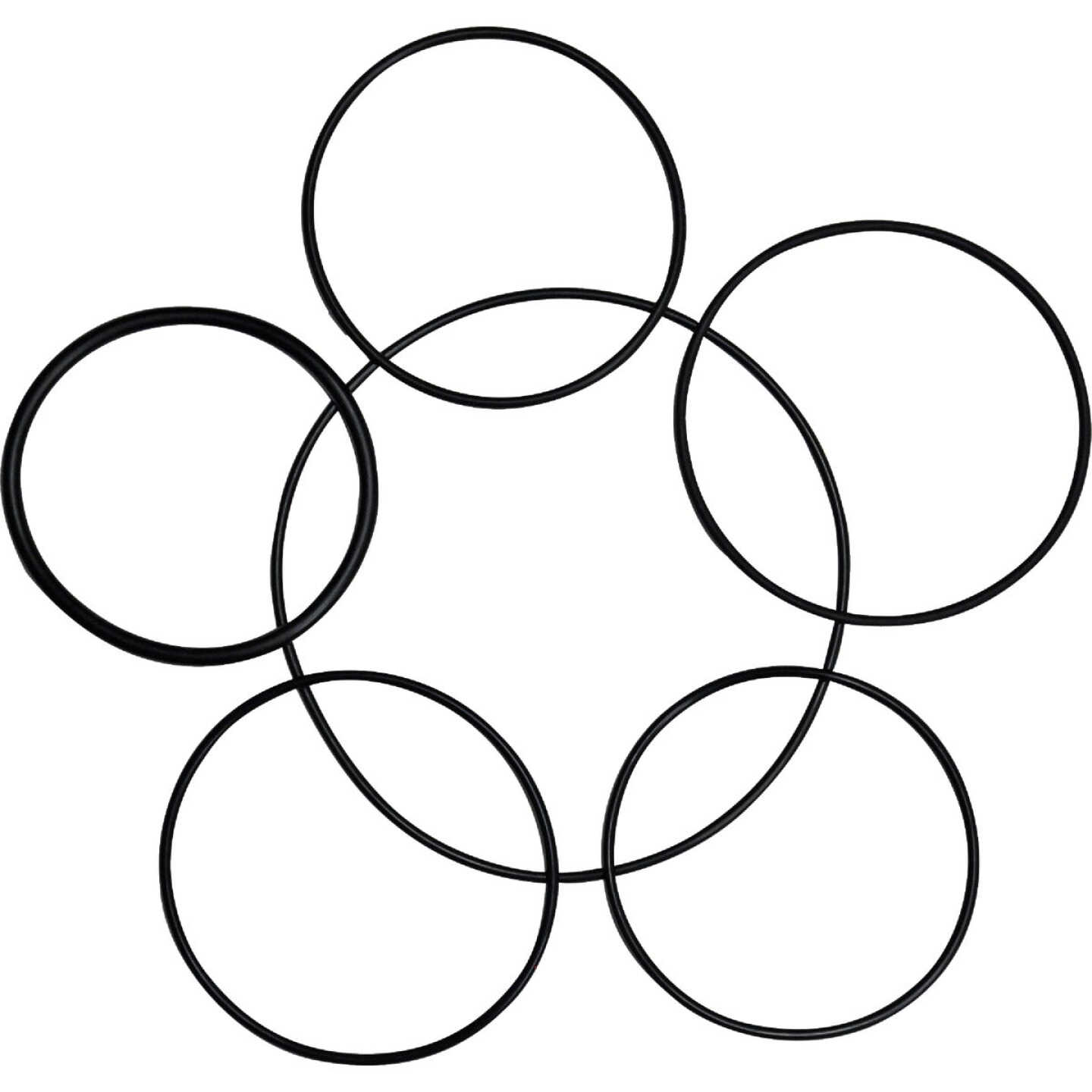 Danco Large O-Ring Assortment Kit Image 1