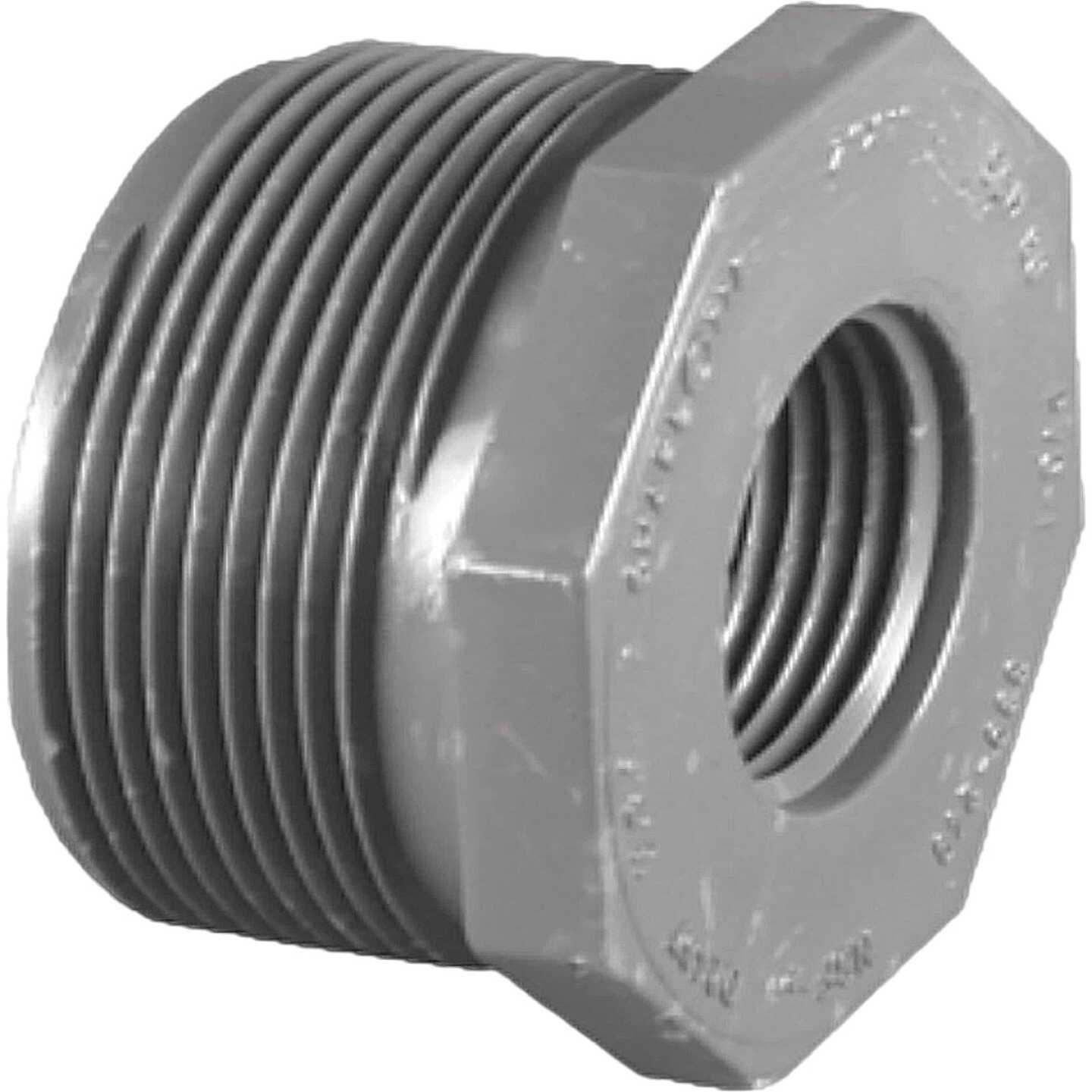 Charlotte Pipe 2 In. MPT x 1 In. FPT Schedule 80 Reducing PVC Bushing Image 1