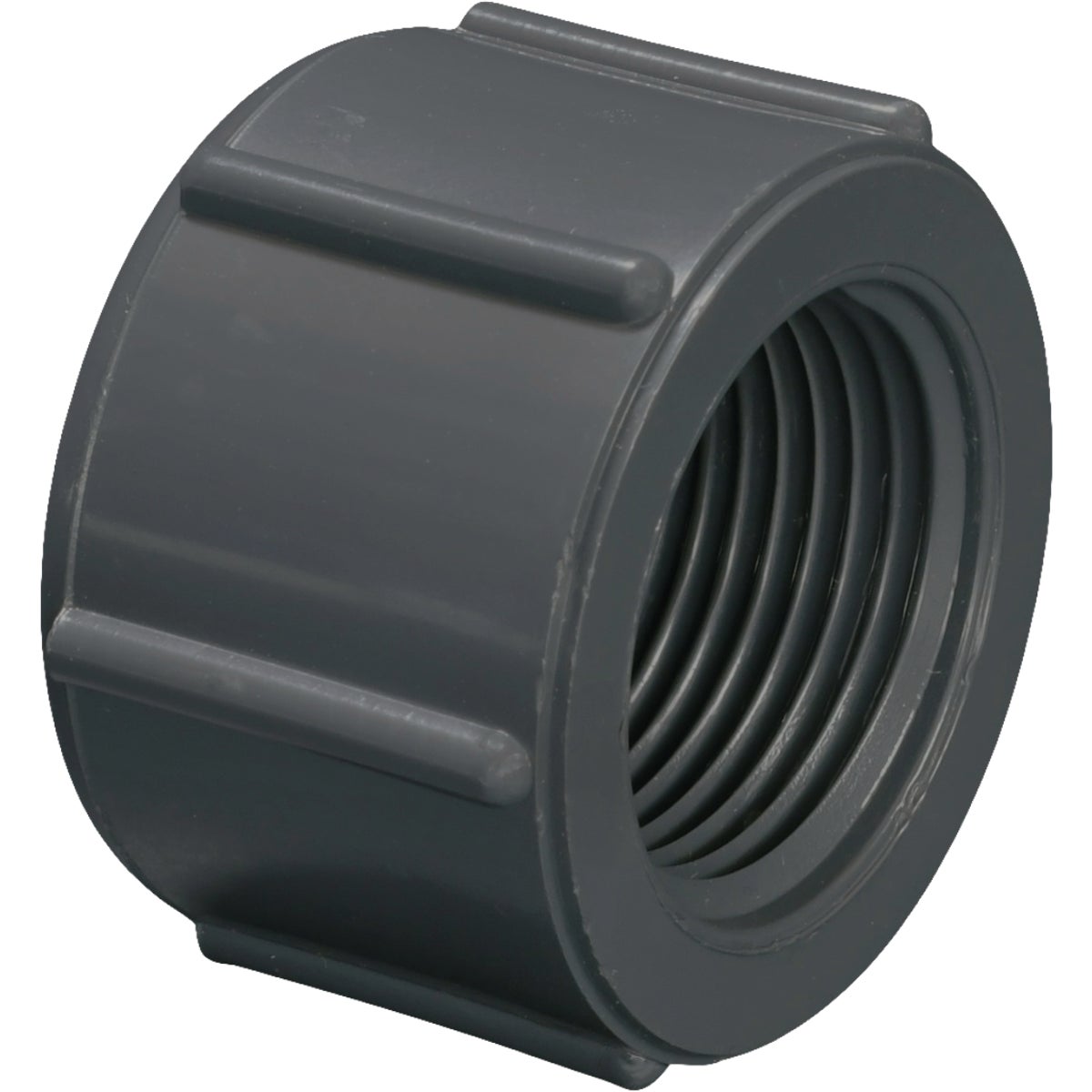 Charlotte Pipe 3/4 In. Gray Schedule 80 Feamle Threaded Cap