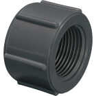 Charlotte Pipe 3/4 In. Gray Schedule 80 Feamle Threaded Cap Image 1