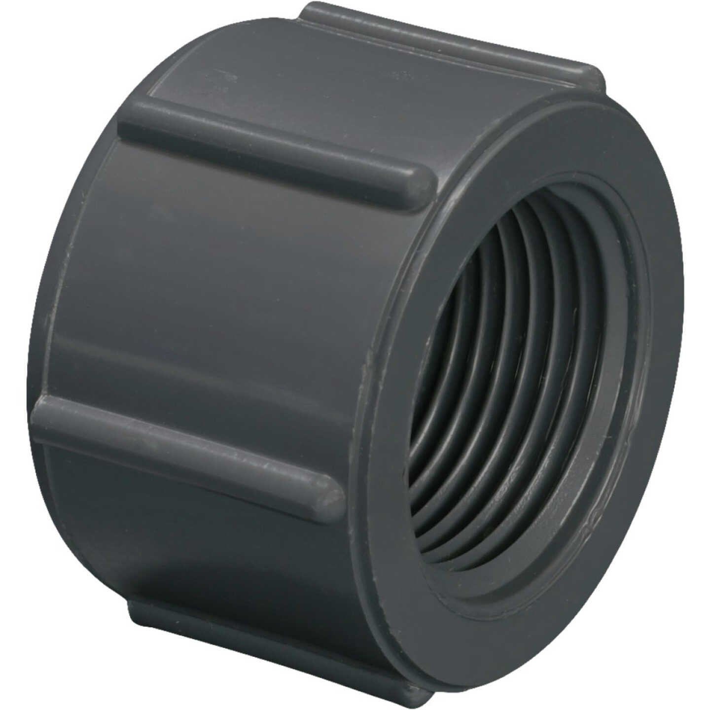 Charlotte Pipe 3/4 In. Gray Schedule 80 Feamle Threaded Cap Image 1