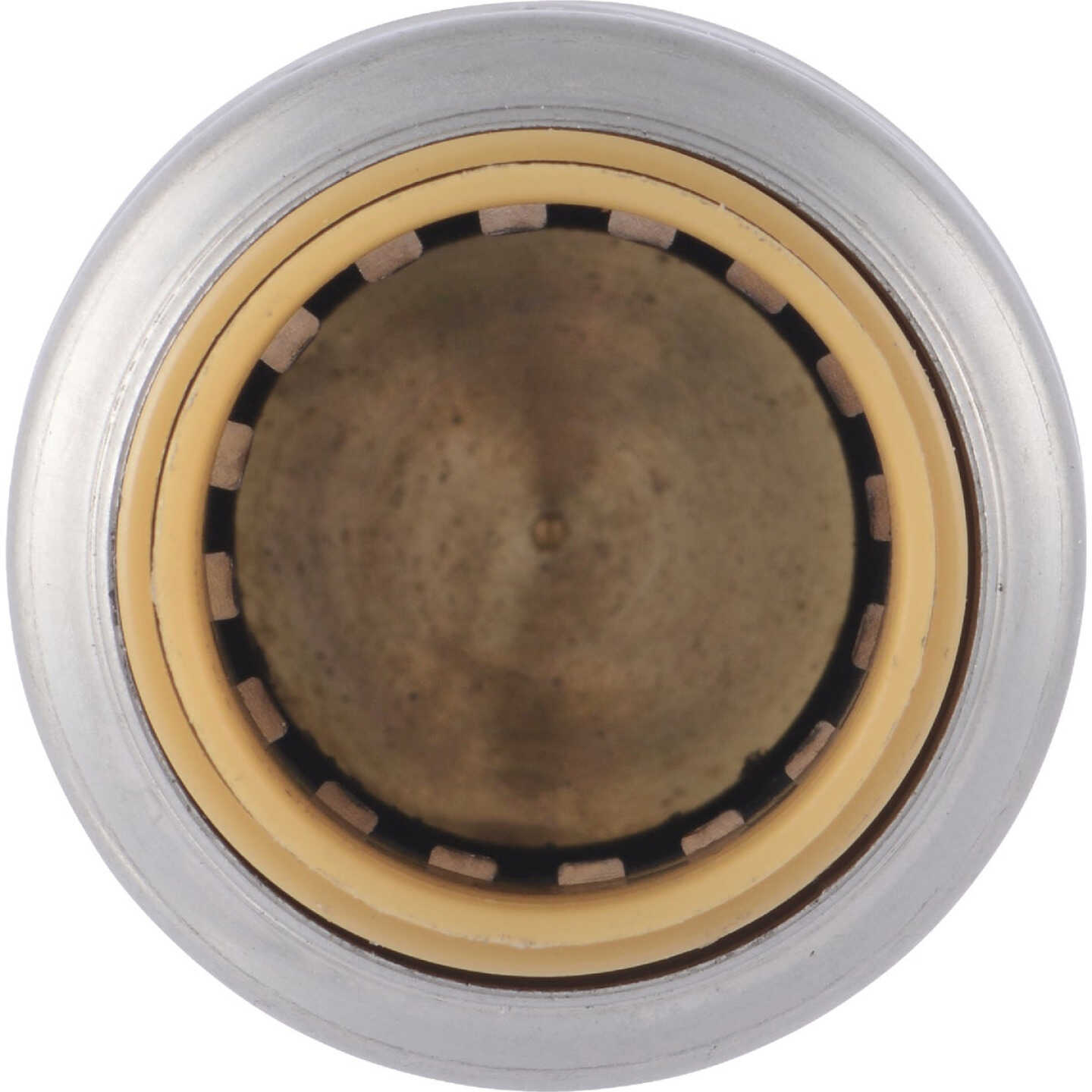 SharkBite 1/2 In. Push-to-Connect Brass End Push Cap (4-Pack) Image 8