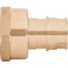 SharkBite 3/4 In. PEX-A x 3/4 In. FNPT Brass Adapter Image 3