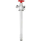 ProLine Chrome Plated Brass 1/2 In. MIP x 3/4 In. MHT Anti-Siphon 10 In. Frost Free Sillcock Image 1