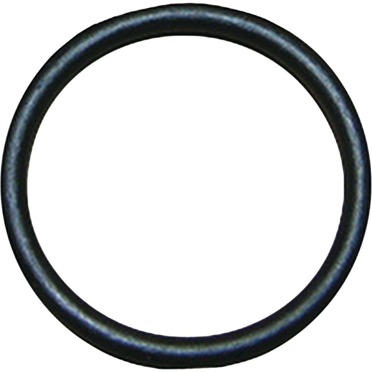 Lasco #50 15/16X1-1/8X3/32 R-72 O-Ring (2-Pack)