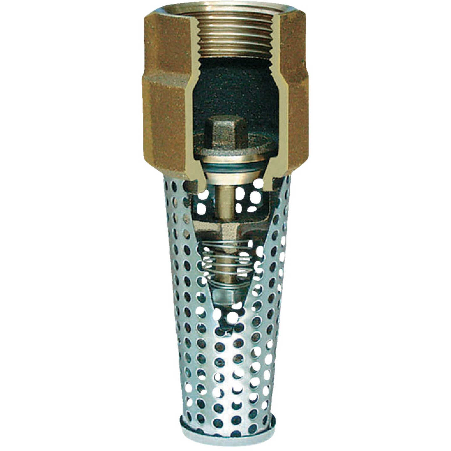 Simmons 1-1/2 In. Silicon Bronze Foot Valve, Lead Free Image 1