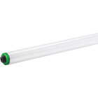 95W 8' T12 CW/HO TUBE Image 2