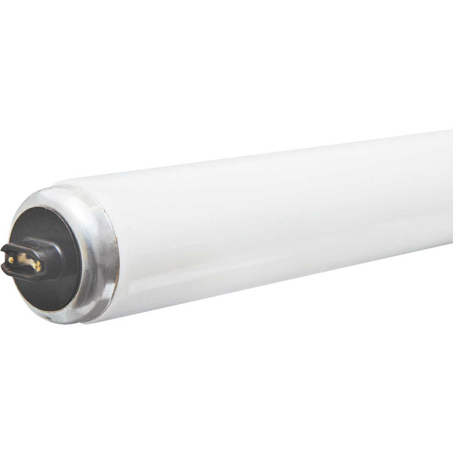 95W 8' T12 CW/HO TUBE Image 1