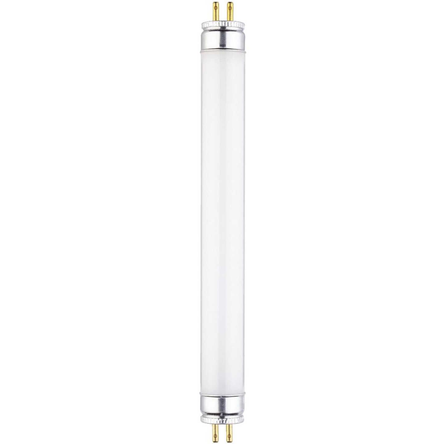 8W12"T5WW FLUOR TUBE Image 1
