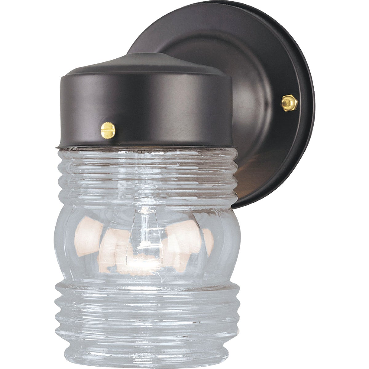 Canarm Black Incandescent Type A Outdoor Wall Light Fixture