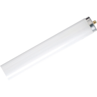 Philips 59W 96 In. Daylight T8 Single Pin Fluorescent Tube Light Bulb Image 1