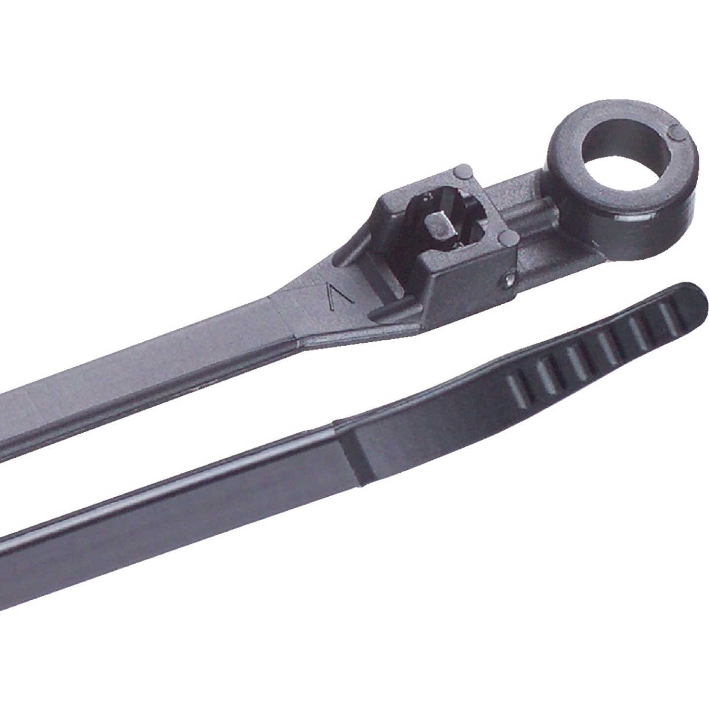 Gardner Bender 8 In. x 0.17 In. Black Nylon Ultra Violet Mounting Cable Tie (100-Pack) Image 1