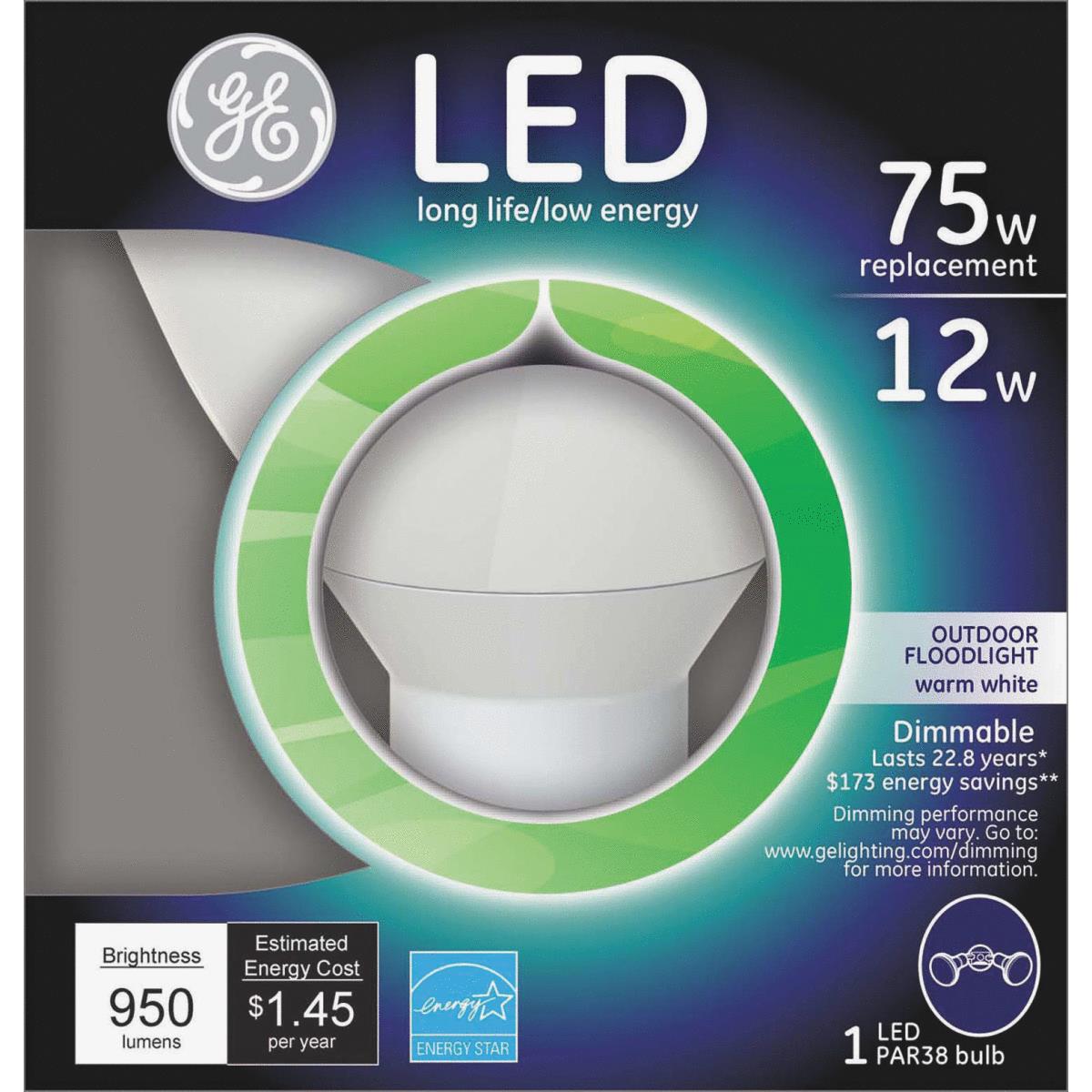 12W PAR38 LED FLOOD