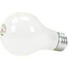 4PK 40W SW BULB Image 2