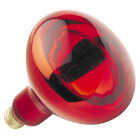 250W HEAT/BROODER BULB Image 1