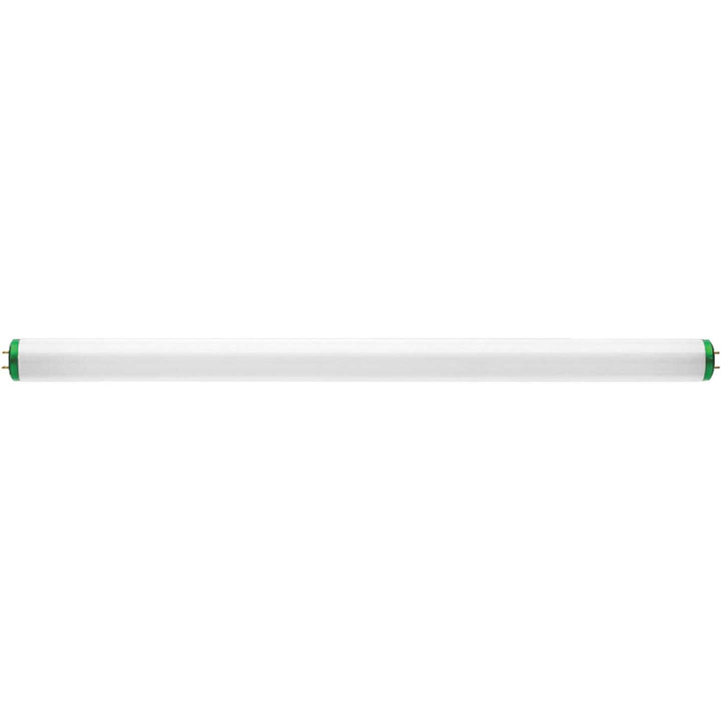 20W 24"T12D FLUOR TUBE Image 3